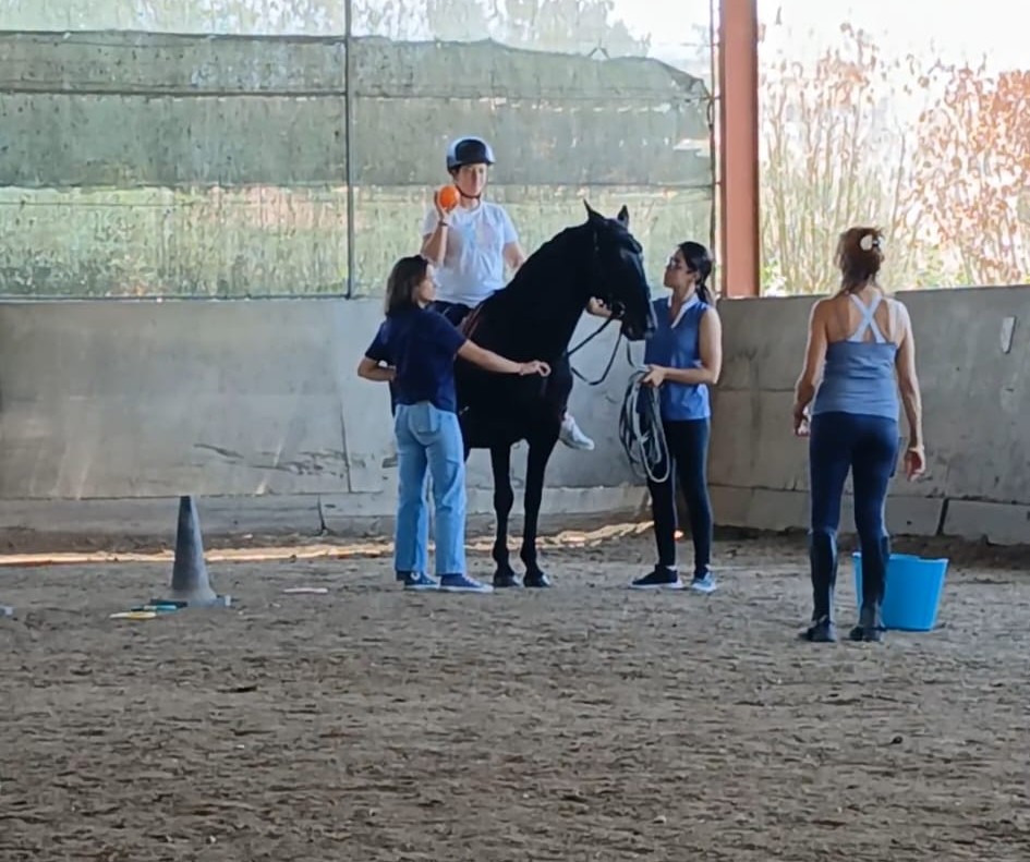 Terapia Assistida por Cavalos – Nível 2 | Formação Avançada para Profissionais
