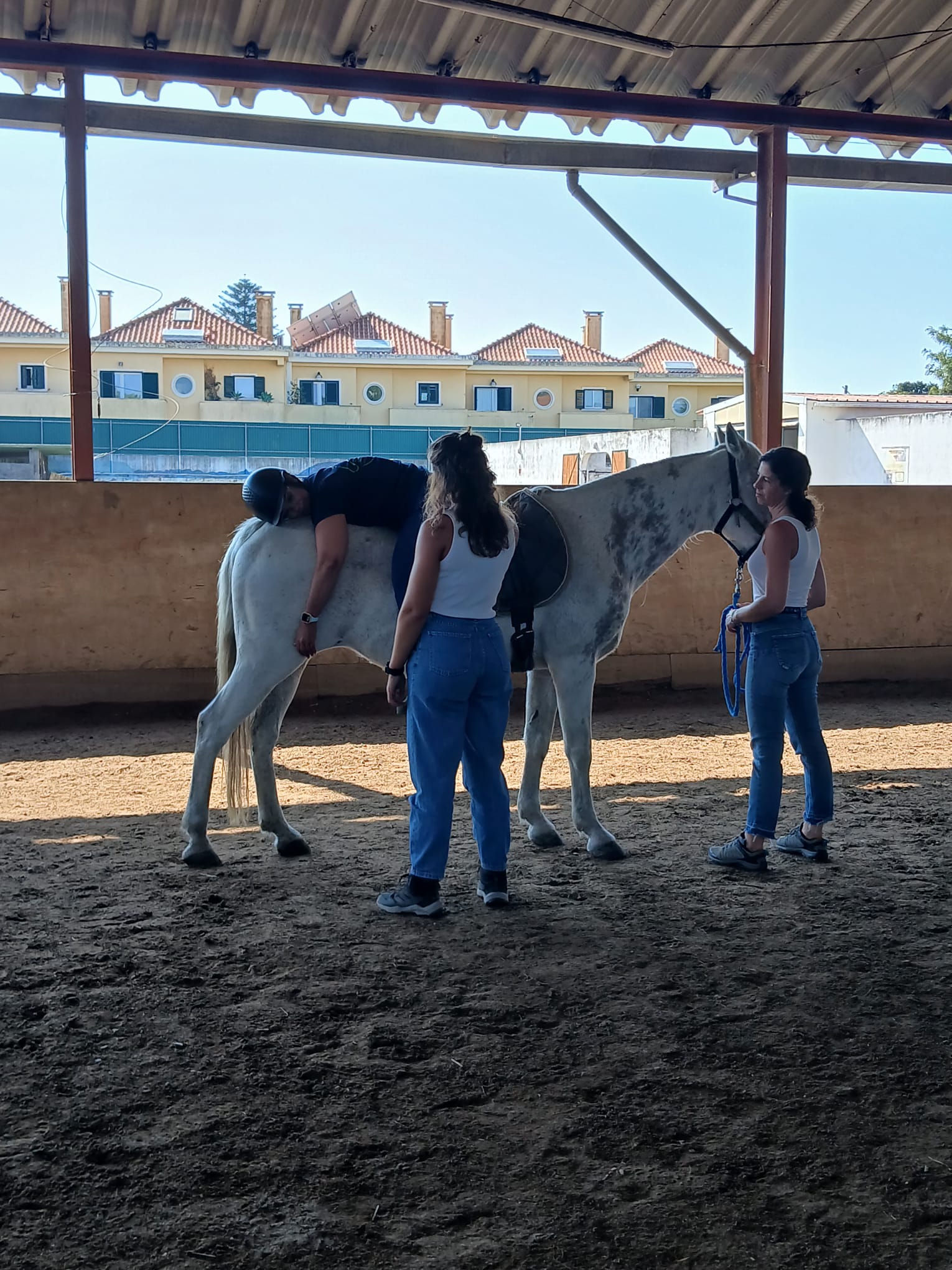 Terapia Assistida por Cavalos – Nível 2 | Formação Avançada para Profissionais